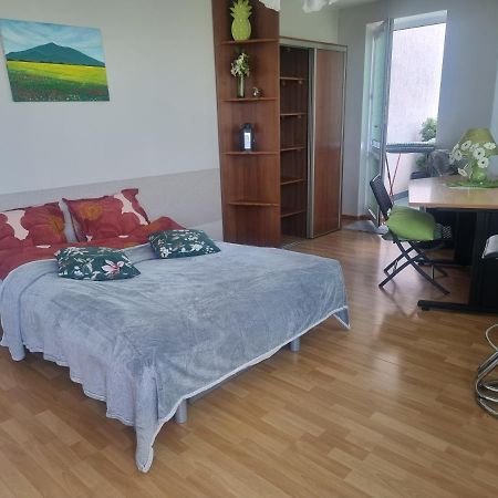 Appartamento Sloneczny Apartamencik Breslavia Esterno foto
